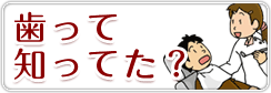歯ってしってた?