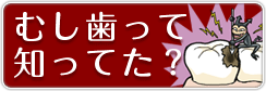 むし歯って知ってた?